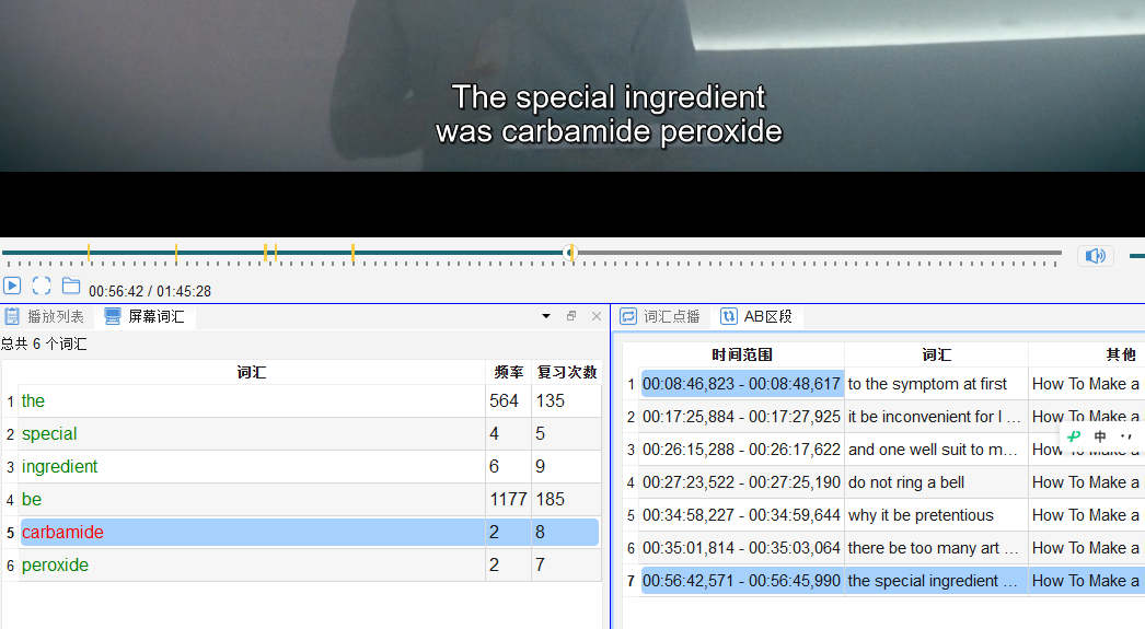 SCREENSHOT: screenshot-08-01 屏幕词汇面板（🖥️ 字幕词汇），显示当前字幕分词后的单词列表
